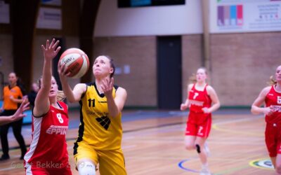 Grasshoppers als koploper naar Final Four in Den Helder