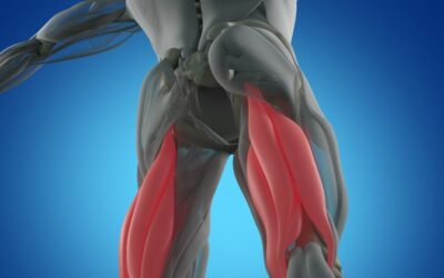 Deelnemers gezocht voor onderzoek hamstrings en kuit