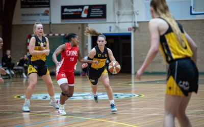Grasshoppers komt naast Den Helder bij haperende hervatting Women’s Basketball League