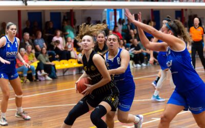 Jolly Jumpers rukt op; Grasshoppers sterkste in kraker tegen Den Helder