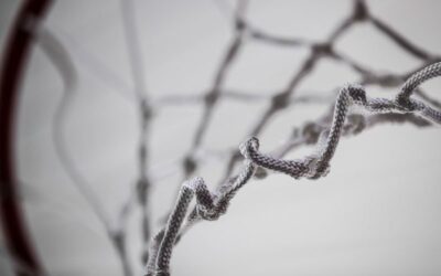 Laatste kans: vul de vernieuwde Verenigingsmonitor in voor 14 februari