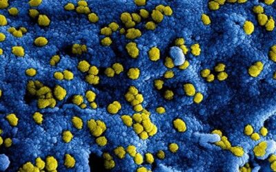 Versoepelingen voor het basketball: wel trainen, geen competitie