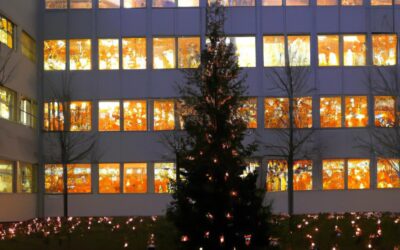 Bondsbureau tot 2 januari gesloten. Fijne feestdagen, en een gezond 2024!