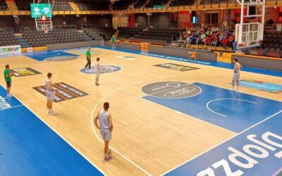 Coachclinic bij CSE Landstede Hammers op donderdag 5 januari