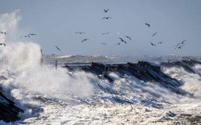 Storm Eunice op komst, alle duels voor vrijdagavond afgelast